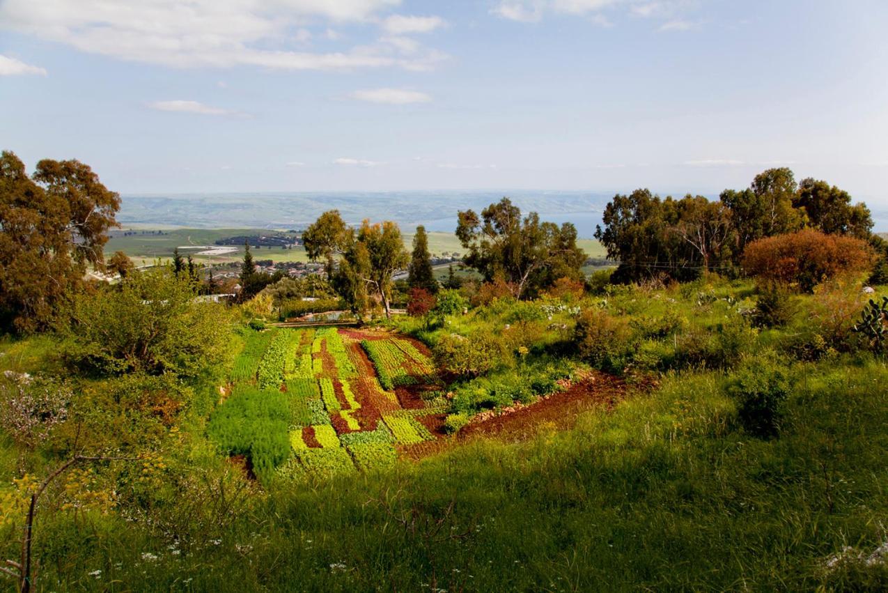Mizpe Hayamim By Isrotel Exclusive Rosh Pinna Dış mekan fotoğraf