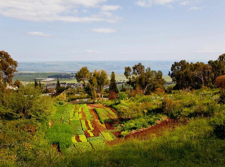 Mizpe Hayamim By Isrotel Exclusive Rosh Pinna Dış mekan fotoğraf